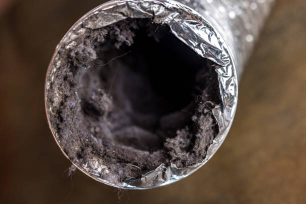 Best Ductwork Cleaning Services  in Francis, UT